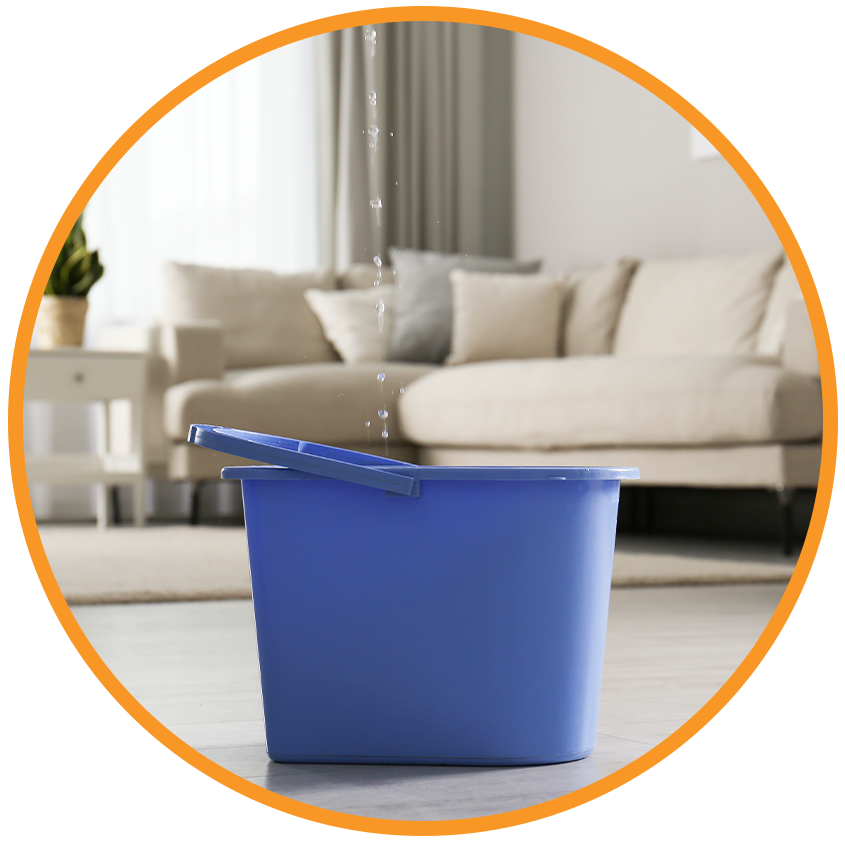 Water Damage Restoration Hemet