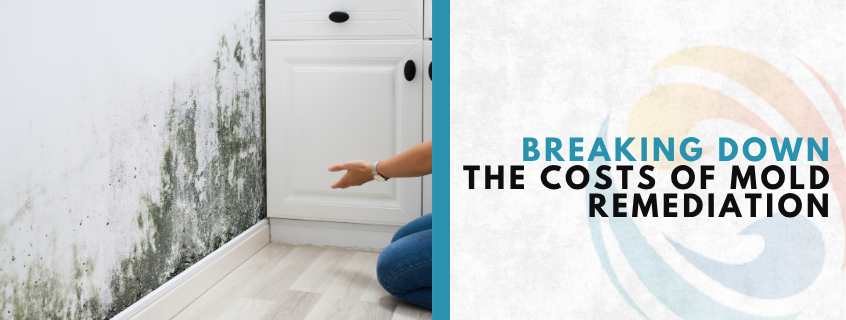 costs of mold remediation