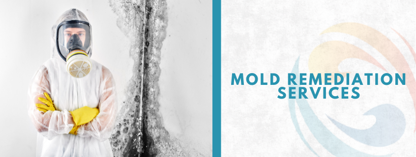 mold remediation services