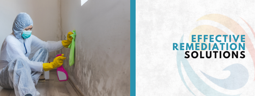 preventing mold recurrence