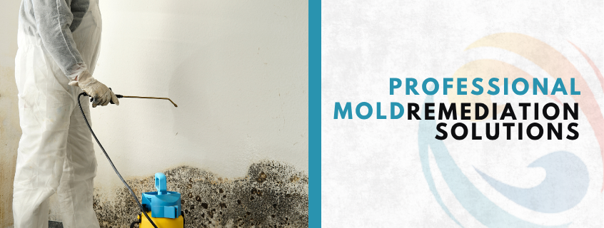 professional mold remediation solutions