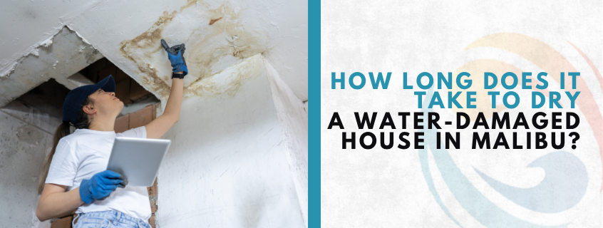 dry out water damage