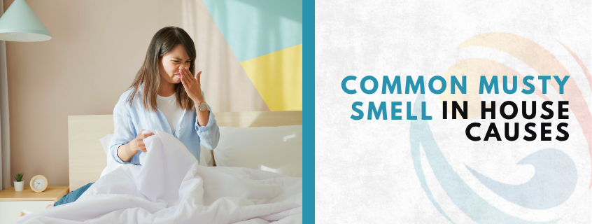 musty smell in house causes