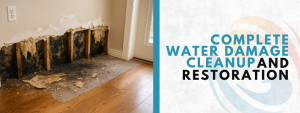 Professional water damage cleanup
