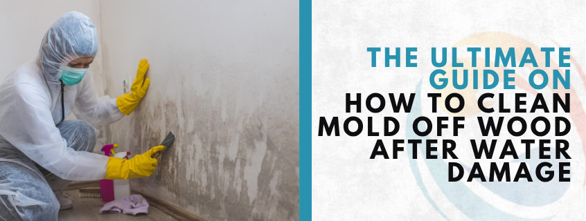 how to clean mold off wood