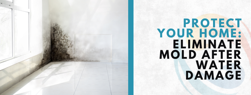 how to get rid of mold in house