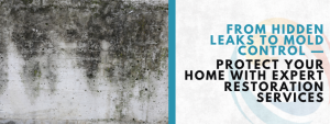 mold caused by water damage