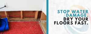 water damage cleanup tips