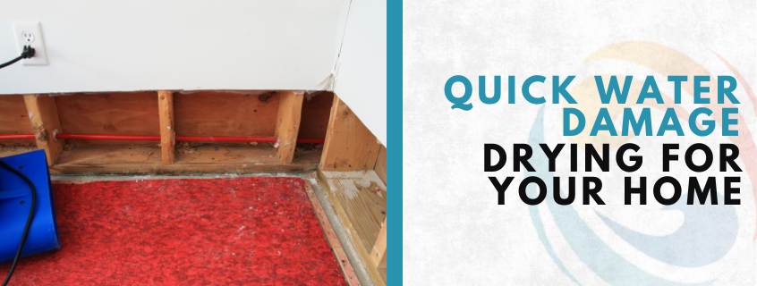 water damage drying services