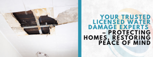 licensed water damage experts