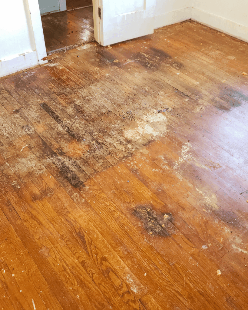attic leak issues