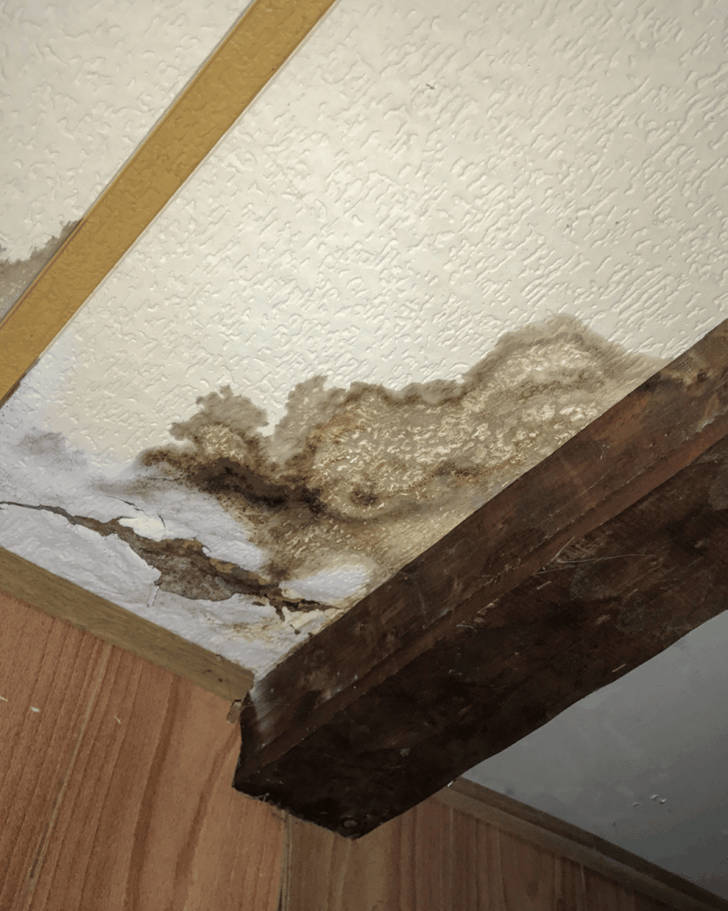 ceiling leak repair