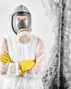 flood cleanup services