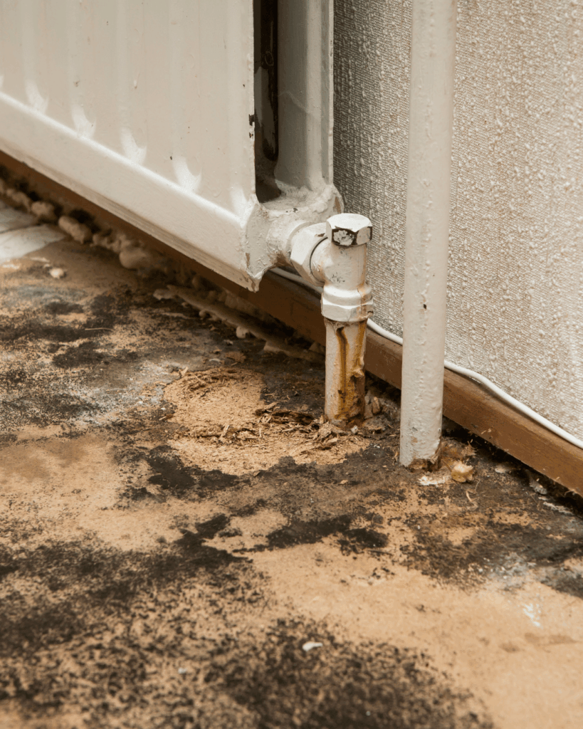 mold prevention tips